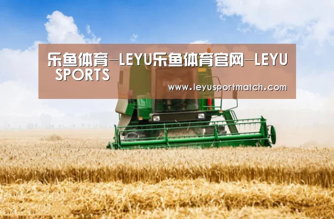 产品名称六(图1)