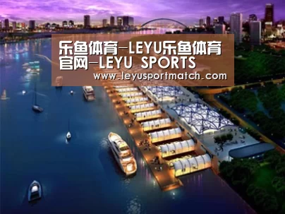 案例展示八