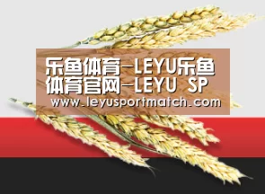 乐鱼体育-LEYU乐鱼体育官网-LEYU SPORTS