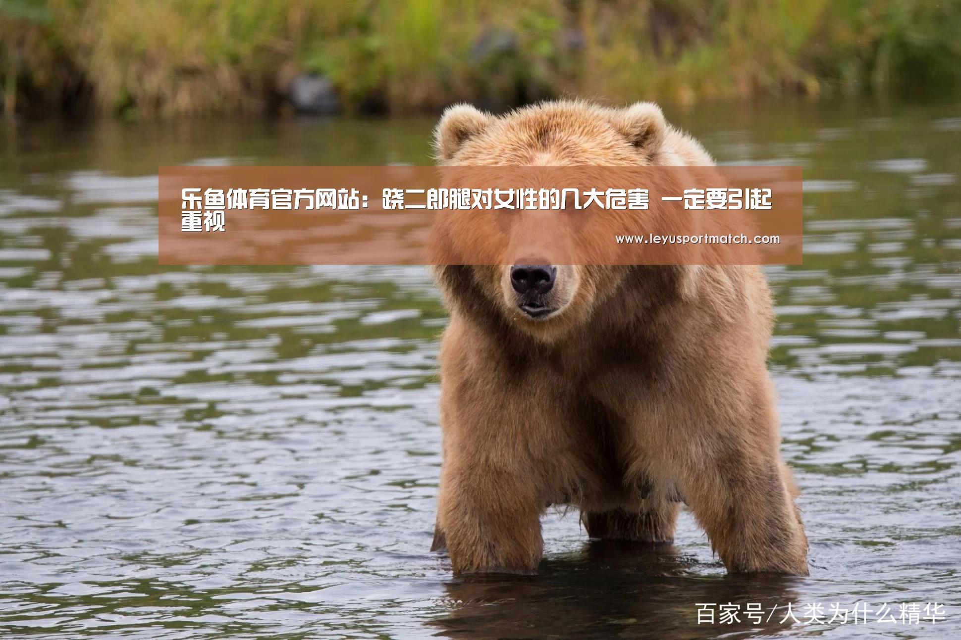 乐鱼体育官方网站:跷二郎腿对女性的几大危害 一定要引起重视(图2) 乐鱼体育
