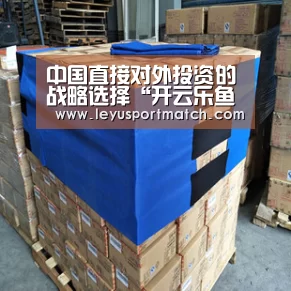 中国直接对外投资的战略选择“开云乐鱼”(图1) 开云乐鱼