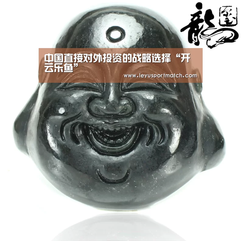 中国直接对外投资的战略选择“开云乐鱼”(图4) 乐鱼体育官方网站