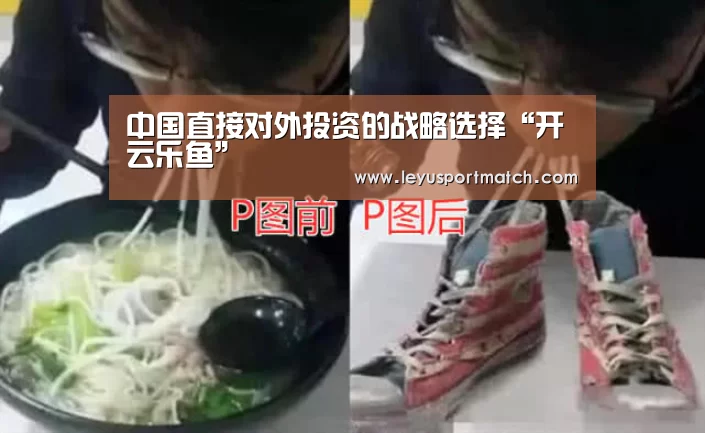 中国直接对外投资的战略选择“开云乐鱼”(图3) 乐鱼体育