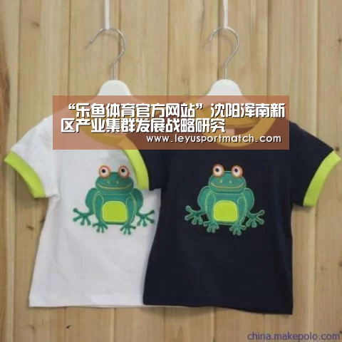 “乐鱼体育官方网站”沈阳浑南新区产业集群发展战略研究(图3) 乐鱼体育