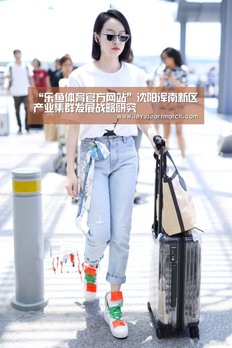 “乐鱼体育官方网站”沈阳浑南新区产业集群发展战略研究(图2) “乐鱼体育官方网站”沈阳浑南新区产业集群发展战略研究(图2)
