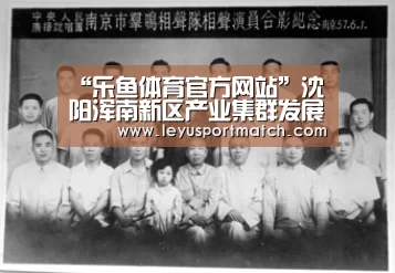“乐鱼体育官方网站”沈阳浑南新区产业集群发展战略研究(图1) 乐鱼体育官方网站