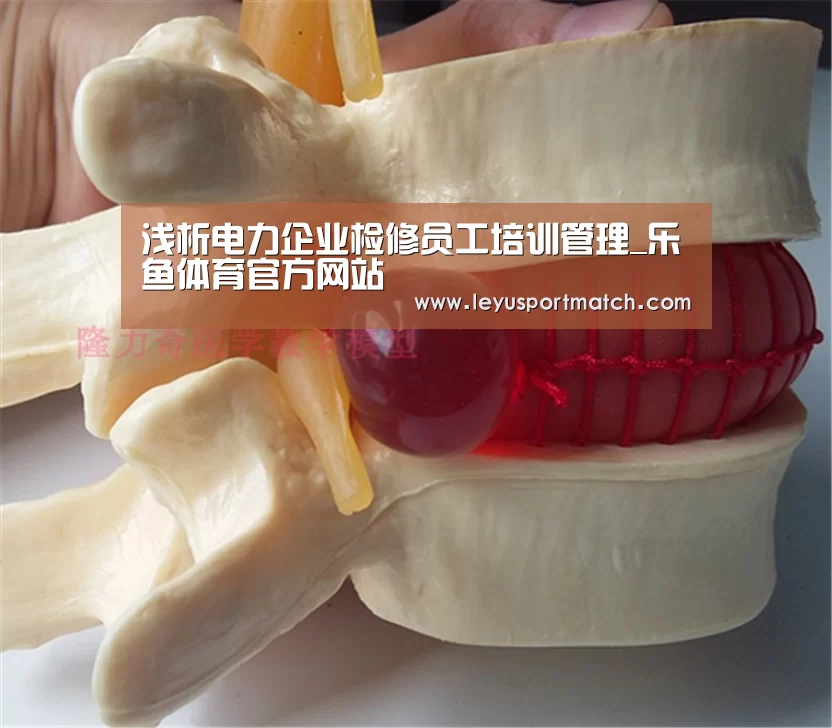 浅析电力企业检修员工培训管理_乐鱼体育官方网站(图1) 开云乐鱼