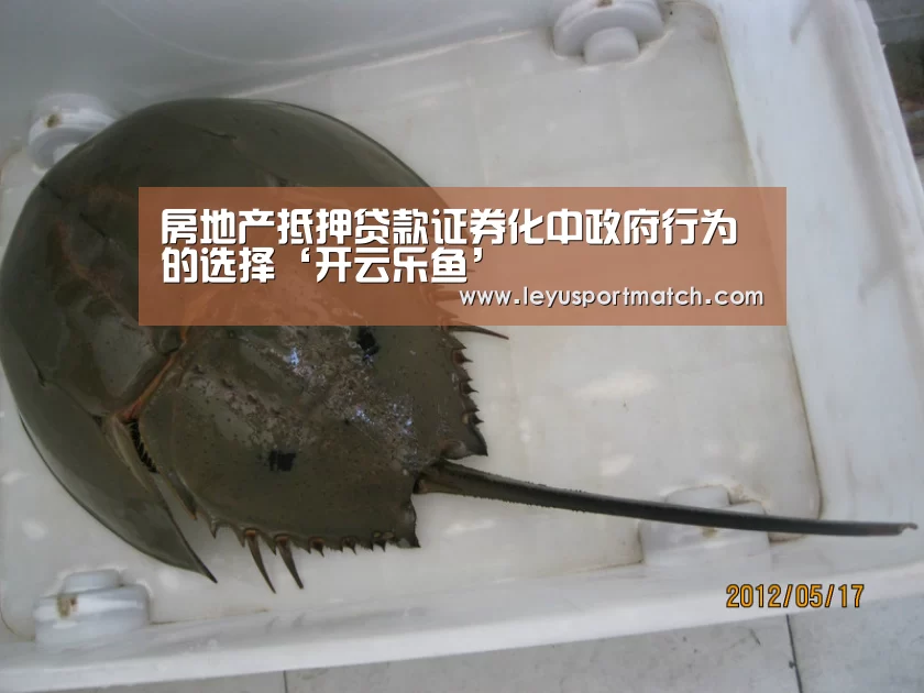 房地产抵押贷款证券化中政府行为的选择‘开云乐鱼’(图1) 乐鱼体育